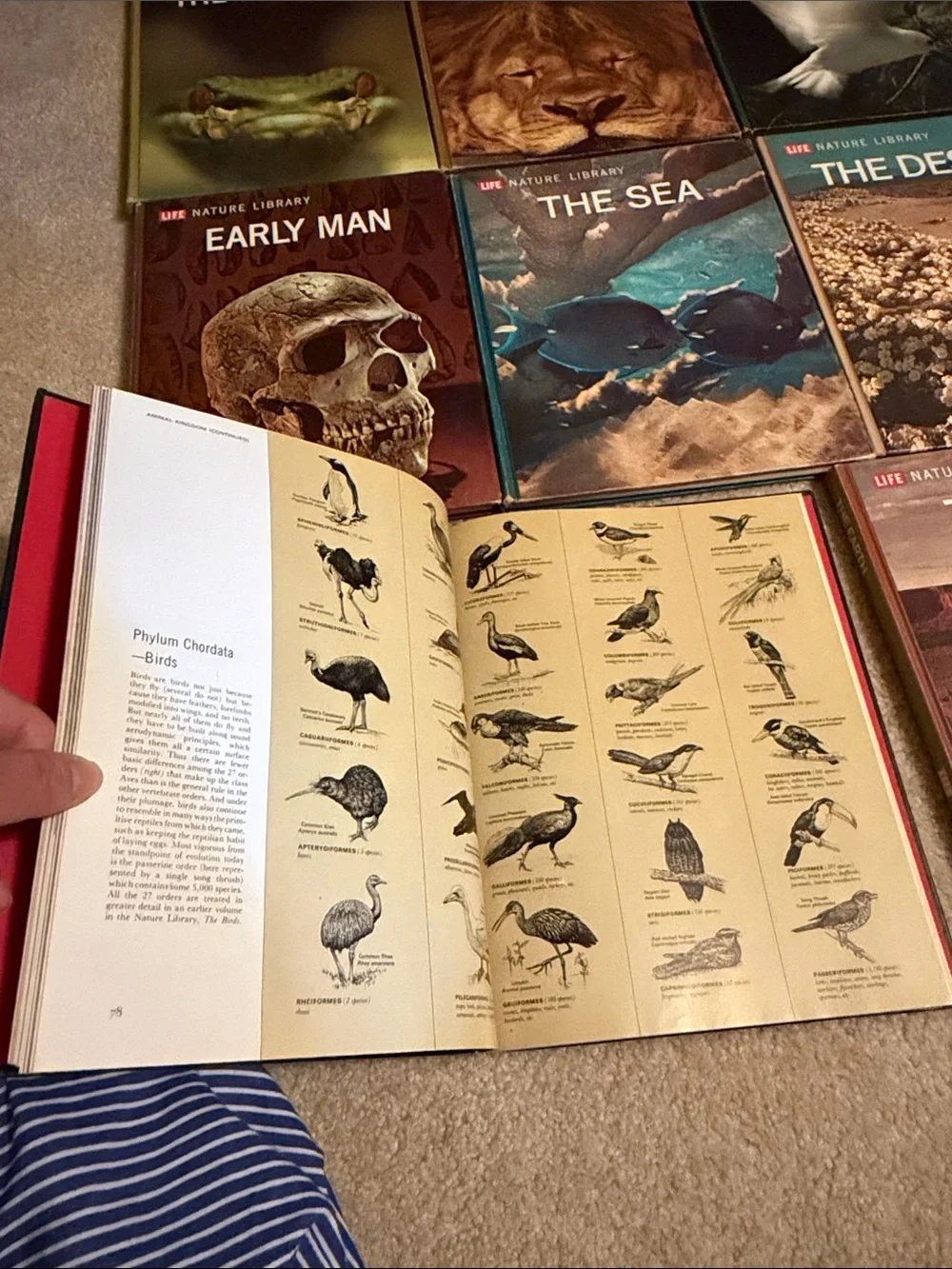 A Guide To Thr Natural World 18 books 📕
